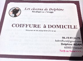 Les Ciseaux de Delphine Frocourt