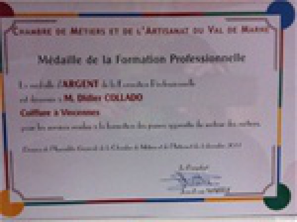 MÉDAILLE D'ARGENT DE LA FORMATION PROFESSIONNELLE